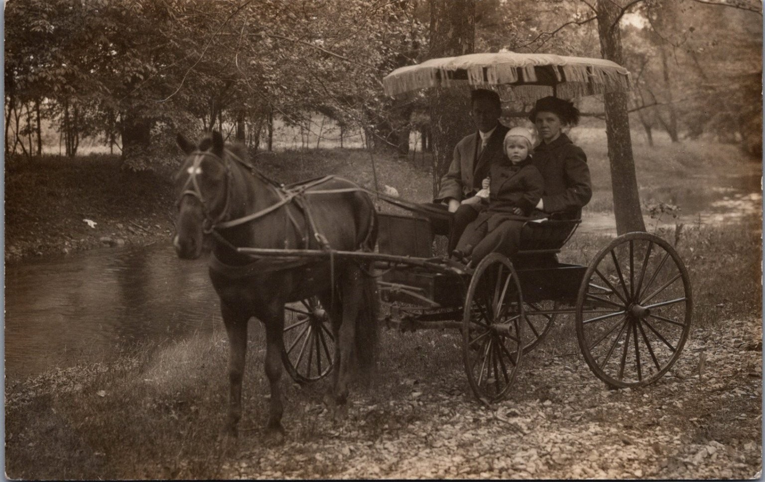 RPPC Family in Horse-Drawn Buggy by Stream Wooded Scene Sepia 1910s Postcard RPPC Family in Horse-Drawn Buggy by Stream Wooded Scene Sepia 1910s Postcard