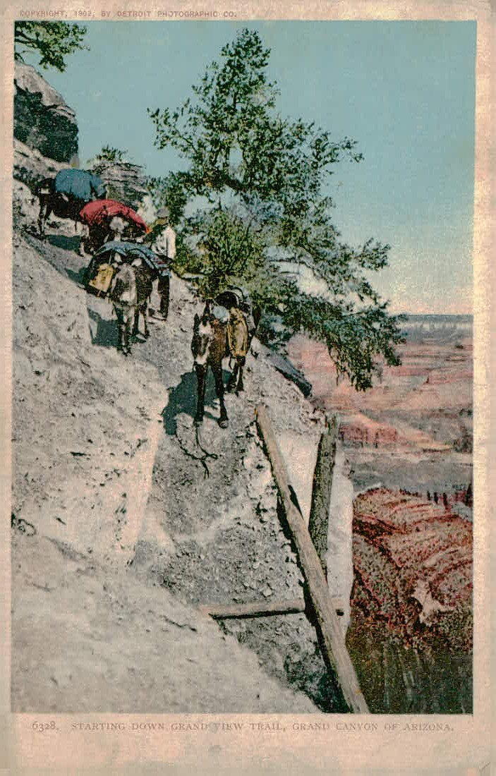 Starting Down Grandview Trail Grand Canyon Arizona 1902 Detroit Photographic Co. Starting Down Grandview Trail Grand Canyon Arizona 1902 Detroit Photographic Co.