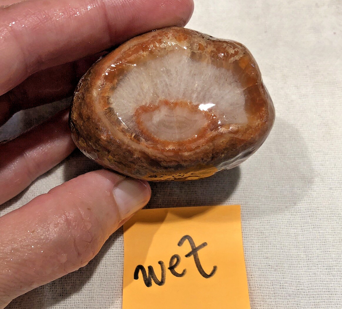 5.2 Oz Lake Superior Agate, banded eye within a quartz center, uncut rough, MN 5.2 Oz Lake Superior Agate, banded eye within a quartz center, uncut rough, MN