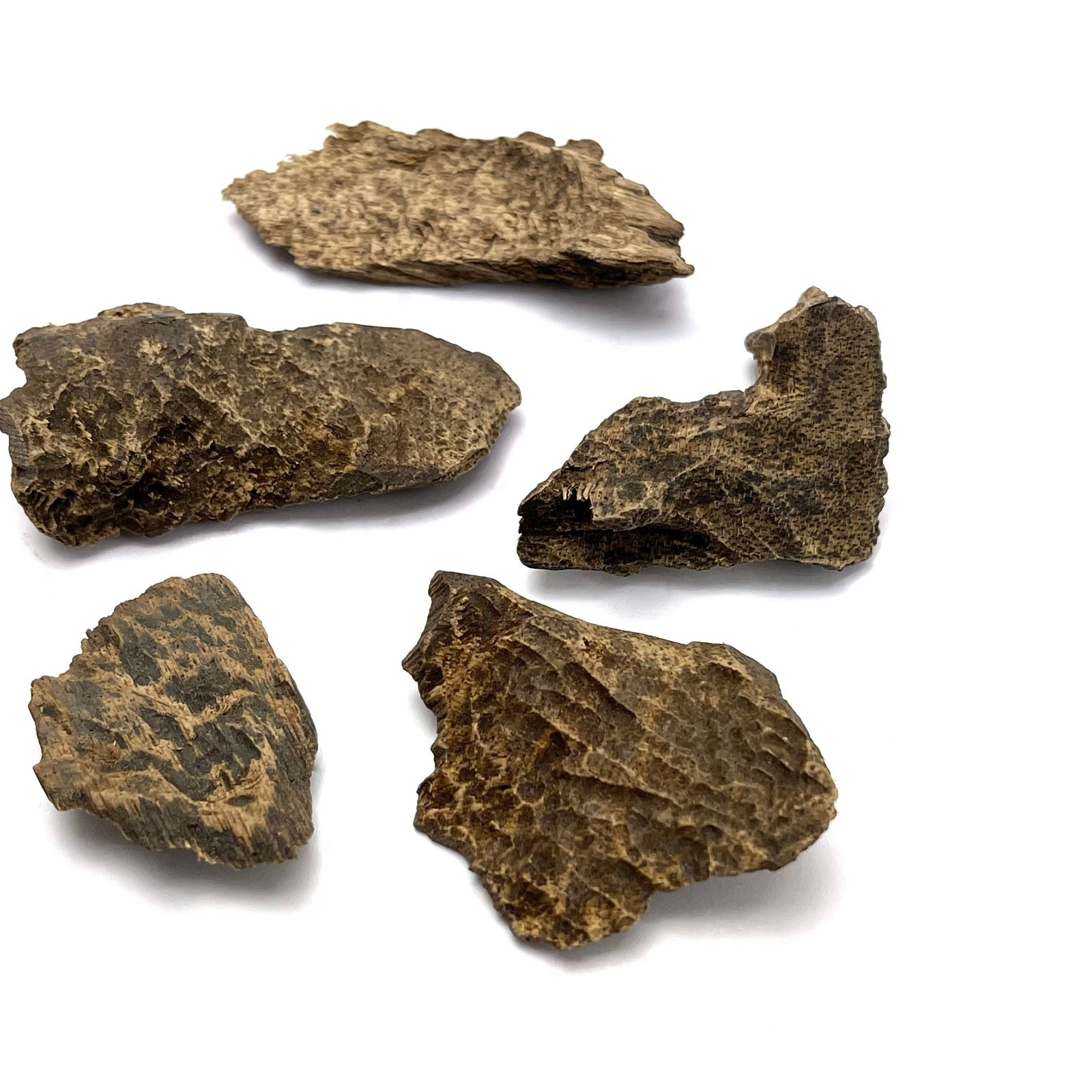 11grams Rare Sinking Grade Peninsular Aquilaria Soil Agarwood Piece 西马野生满油沉水土沉沉香