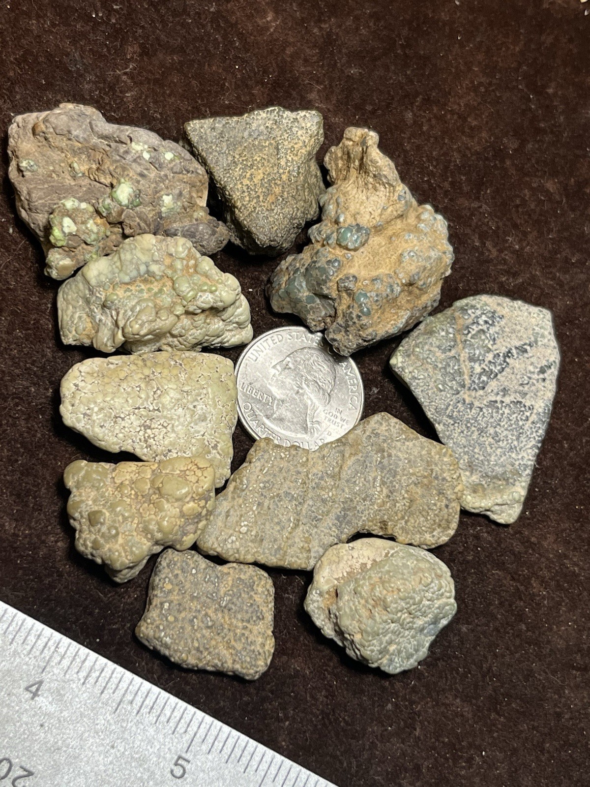 Damele Turquoise Rough 98g Natural Rare Nevada Gemstone Damale Nuggets