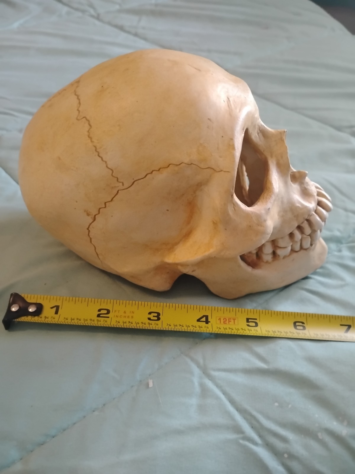 Skull Bd Studio 1995 Denis GREAT piece Ceramic 