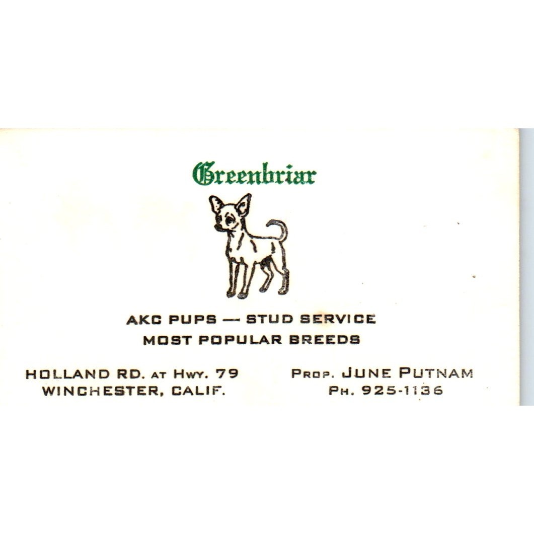 Greenbriar AKC Pups June Putnam Winchester CA Vintage Business Card SD8-B15 Greenbriar AKC Pups June Putnam Winchester CA Vintage Business Card SD8-B15
