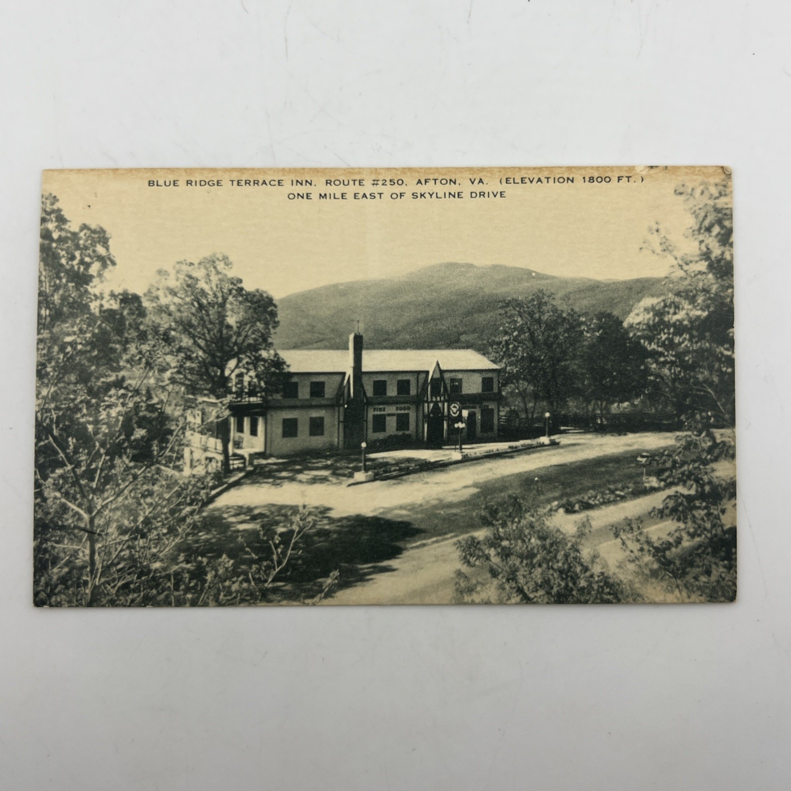 Blue Ridge Terrace Inn Postcard Afton VA Route 250 Artvue 1920s Historic Resort