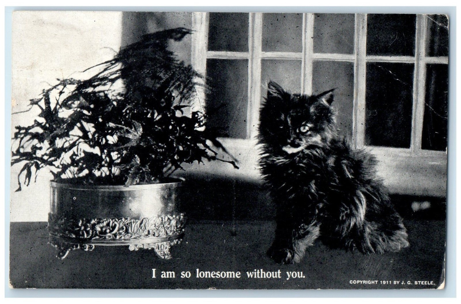 1913 Black Cat I Am So Lonesome Without You DPO 1904 - 1954 Hazel MN Postcard 1913 Black Cat I Am So Lonesome Without You DPO 1904 - 1954 Hazel MN Postcard
