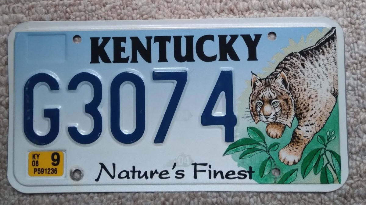 2008 Kentucky License Plate G3074 - Nature\'s Finest