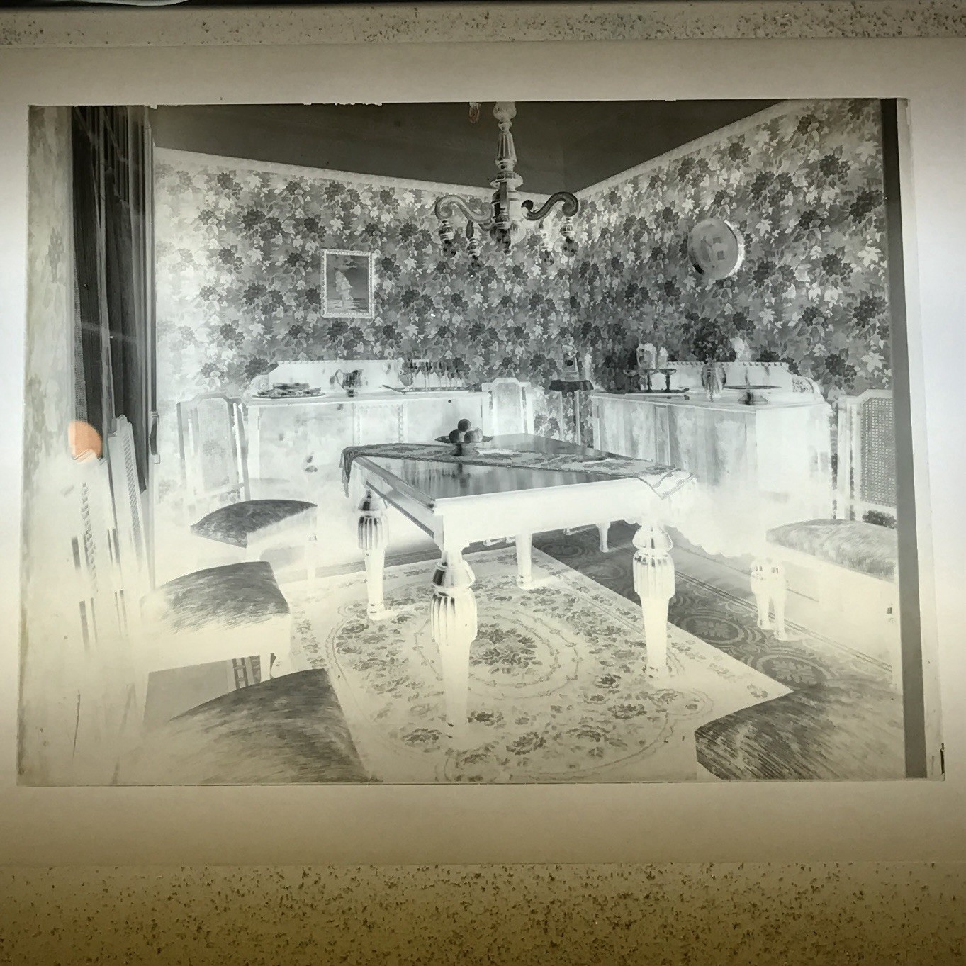 Photo Negatives Antique Set of 2 Stereoscopic Plates 9-1/4x7” Glass Agfa in Box