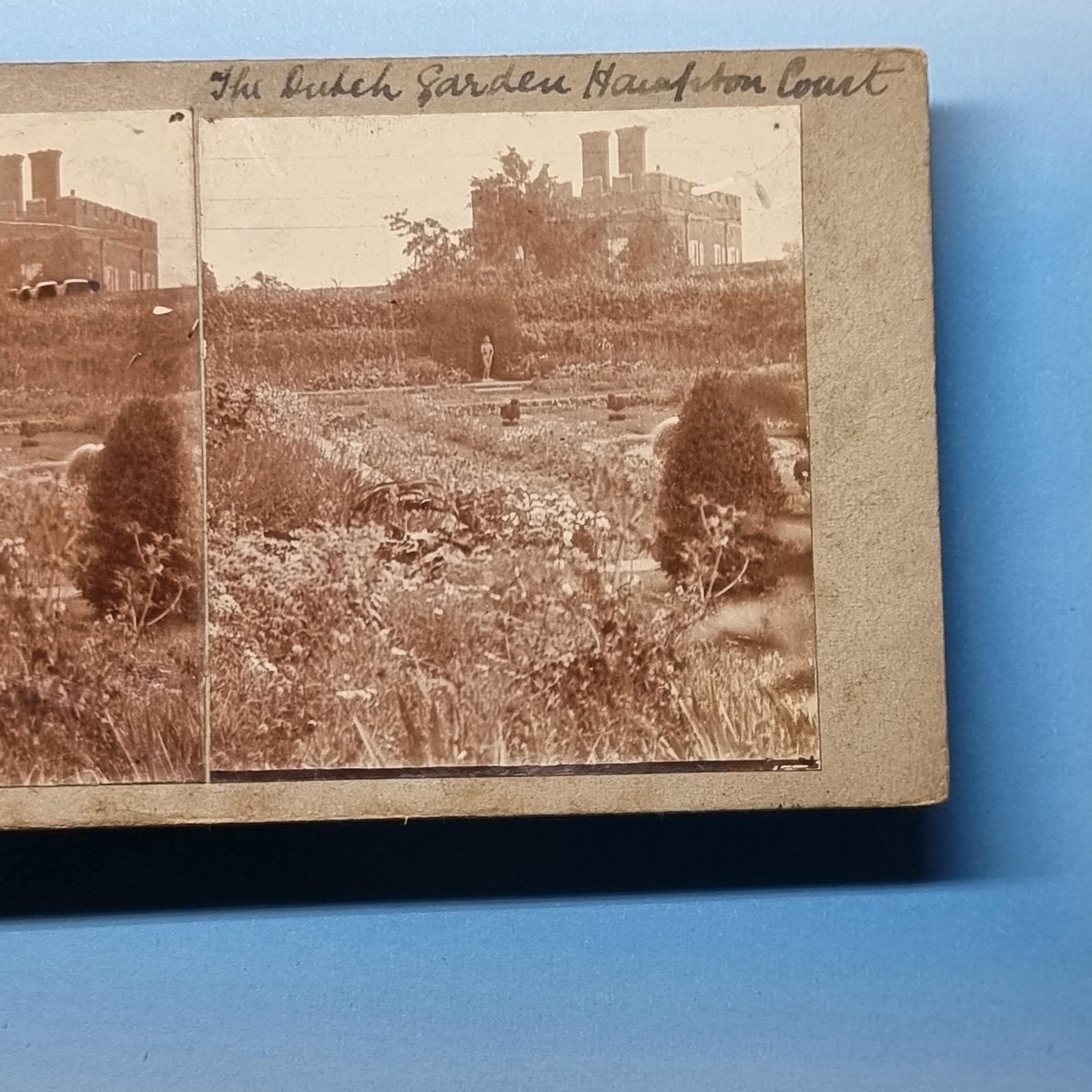Hampton Court Stereoview C1895 Real Photo London England The Dutch Garden