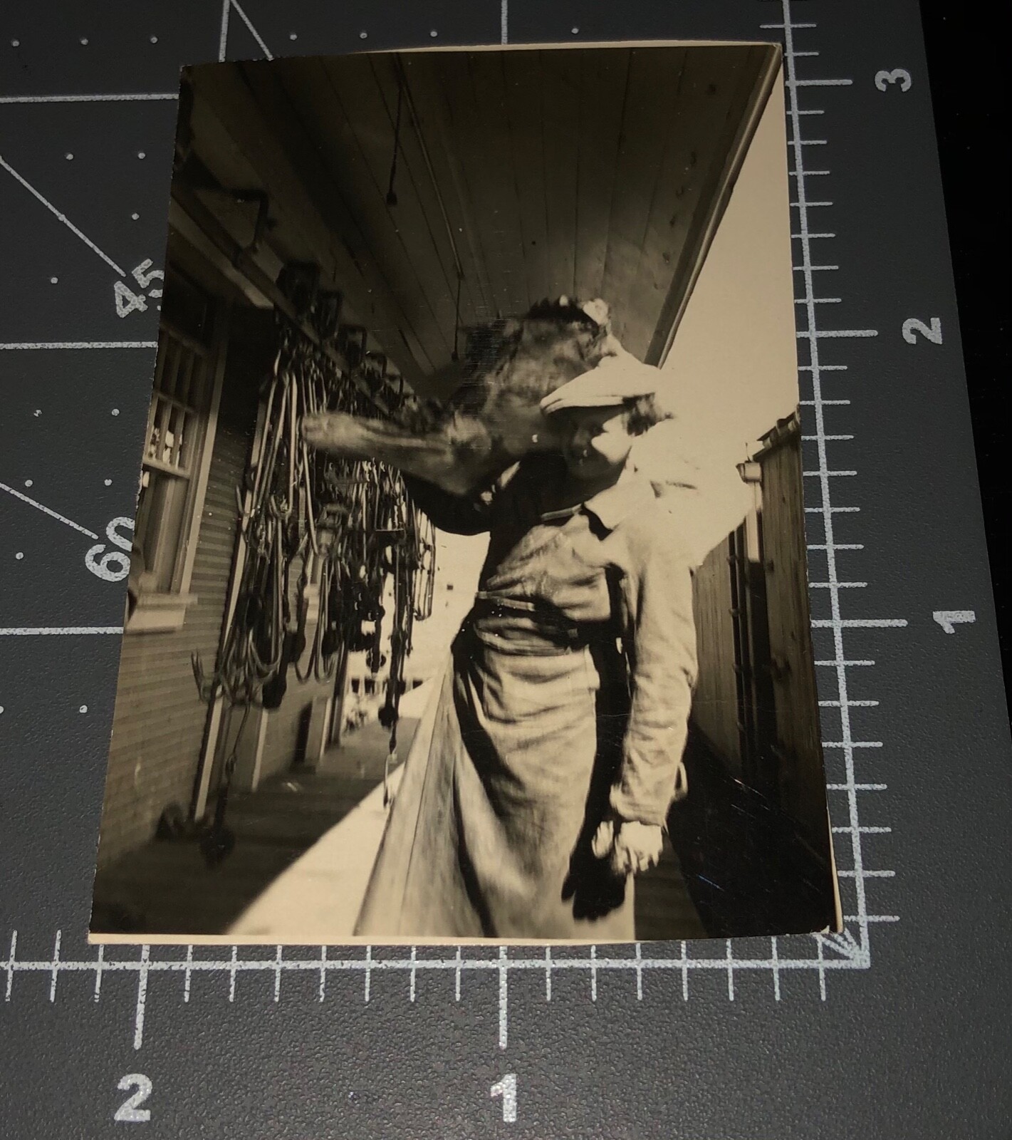1940s BUTCHER SHOP Strong Man w/ SIDE OF BEEF Meat Hook Vintage Snapshot PHOTO 1940s BUTCHER SHOP Strong Man w/ SIDE OF BEEF Meat Hook Vintage Snapshot PHOTO