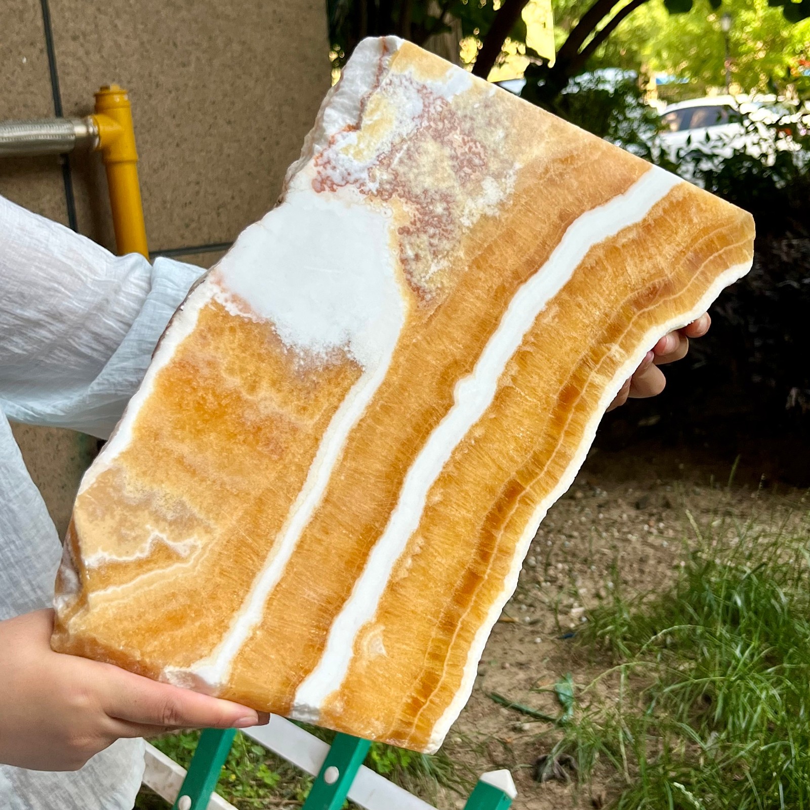 10.1 LB Yellow Calcite Crystal Polished Double Sided Slice Natural Specimen