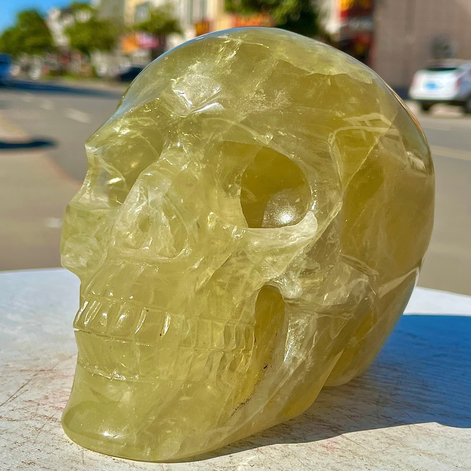 6.06LB  High quality citrine skull hand carved skull healing