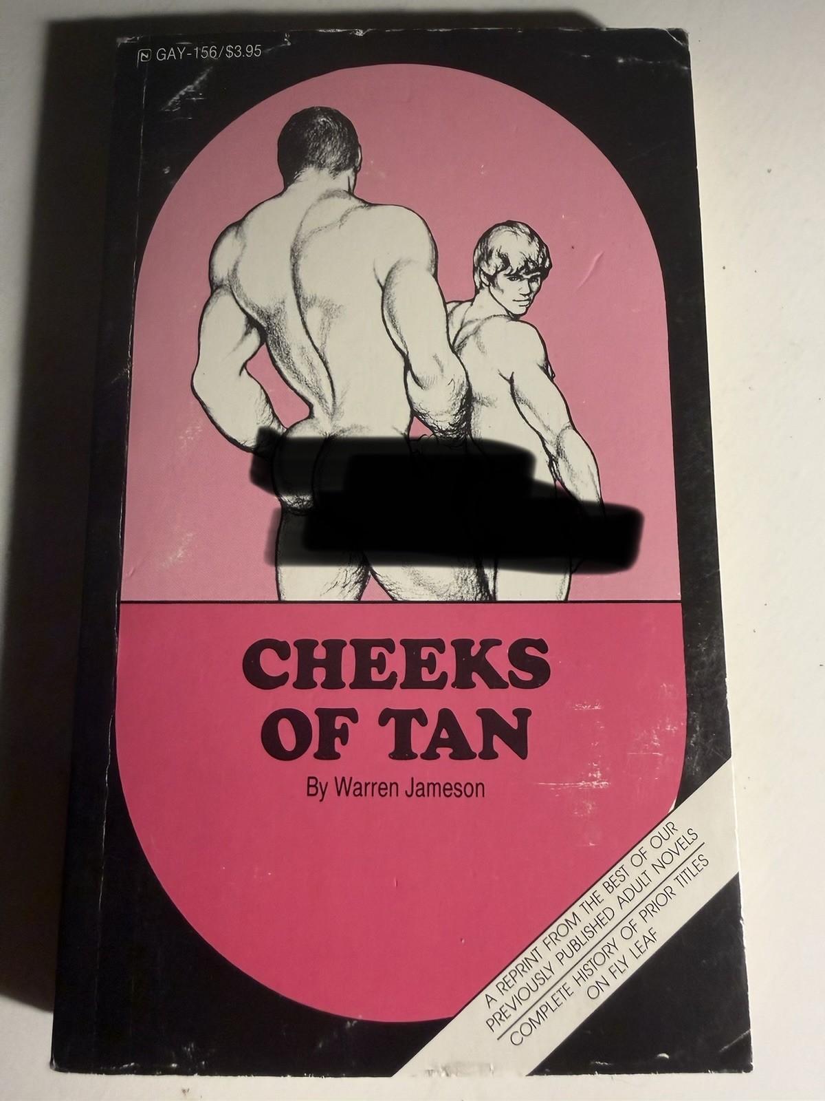 CHEEKS OF TAN- 1989 WARREN JAMESON  -SURREY HIS69 REPRINT VTG PULP NOVEL GAY INT