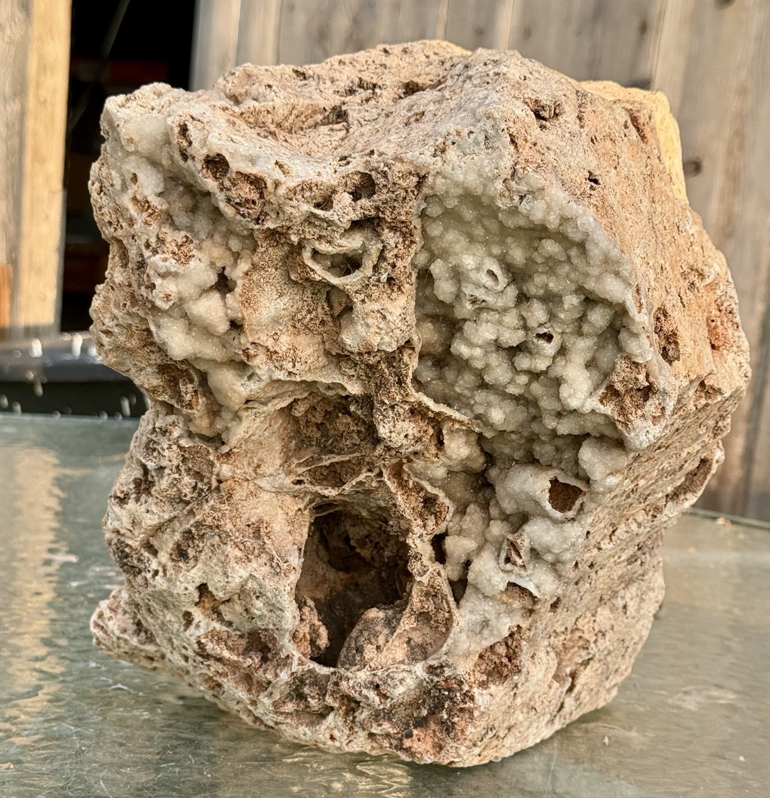 30# Crystal Encrusted Fossil Reef Rock ~Beautiful Druzy Chalcedony~ Unique Decor 30# Crystal Encrusted Fossil Reef Rock ~Beautiful Druzy Chalcedony~ Unique Decor