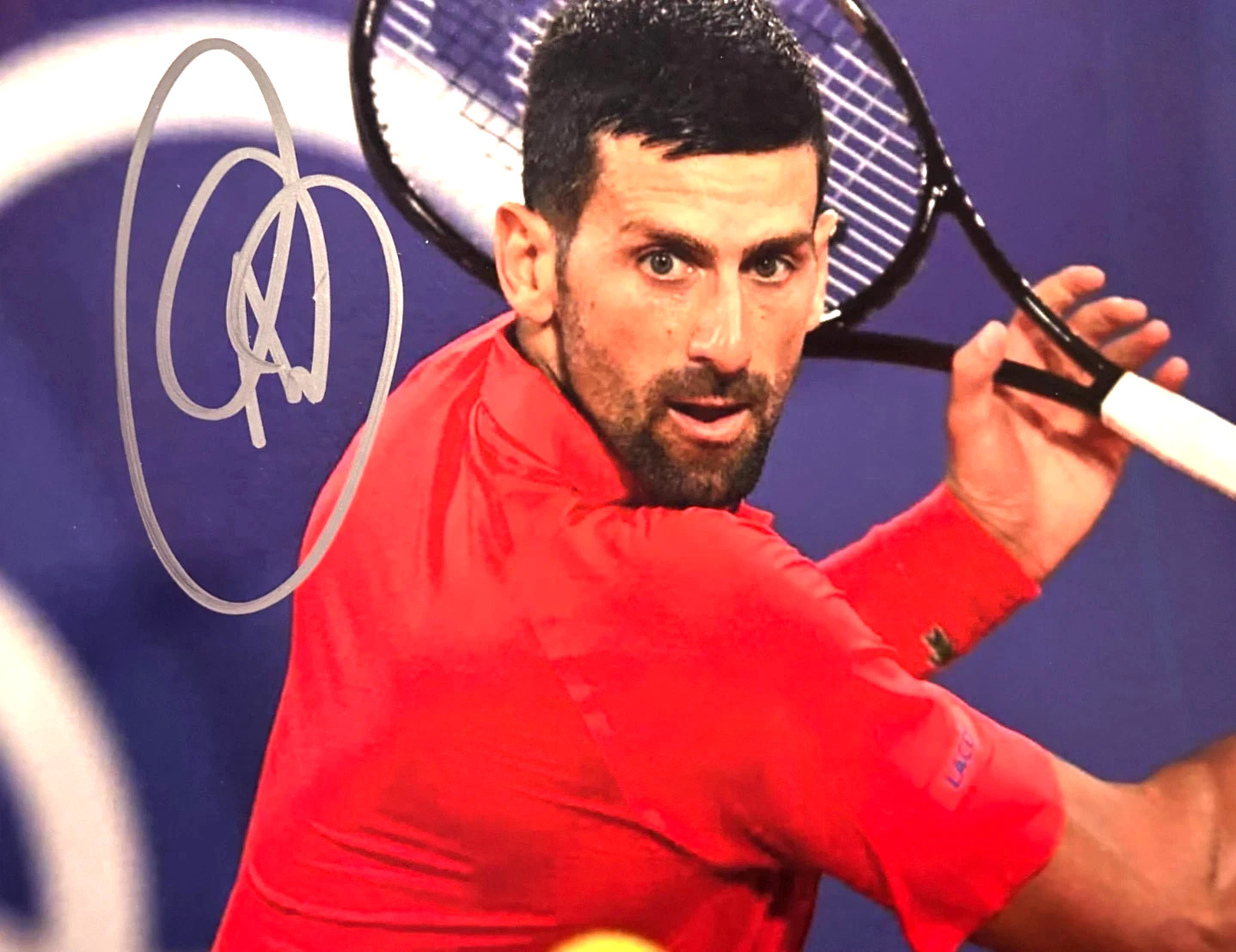 Novak Djokovic Signed Autograph 8x10