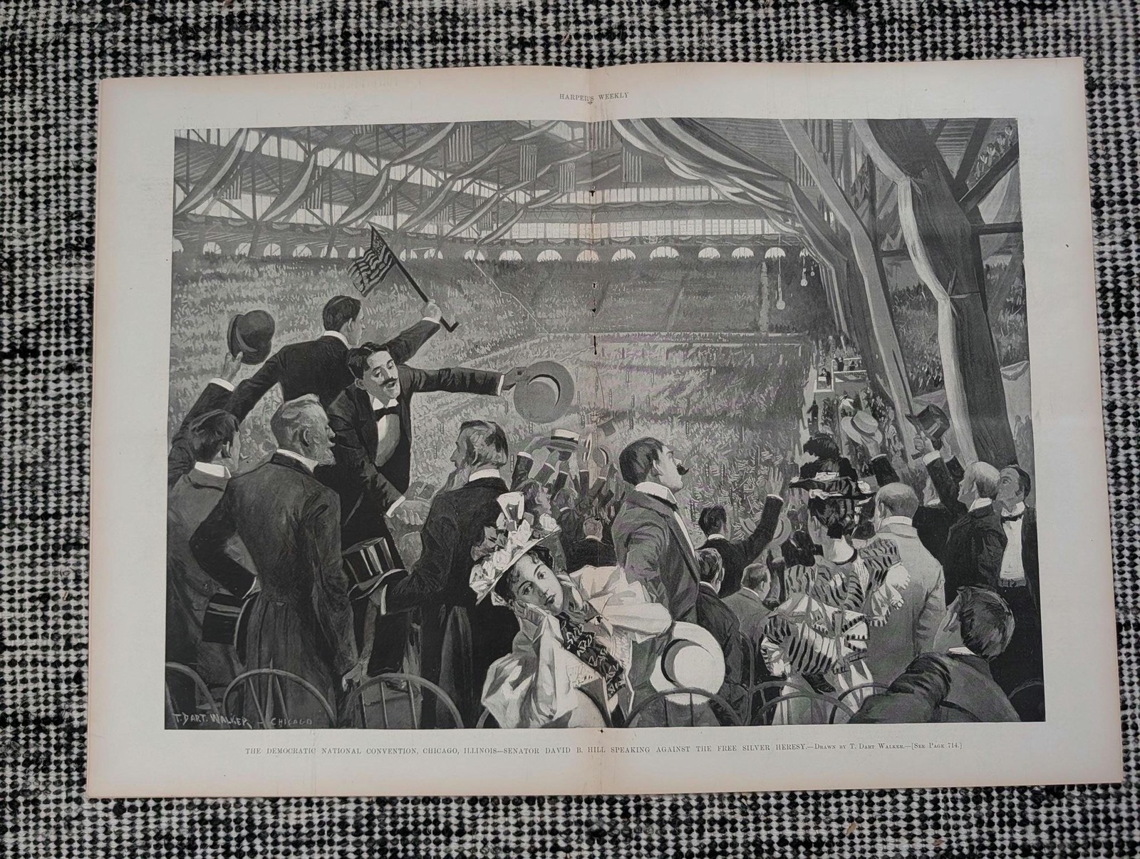 1896 William Jennings Bryan Nominated, Democratic Convention, Cuba — Jul 18
