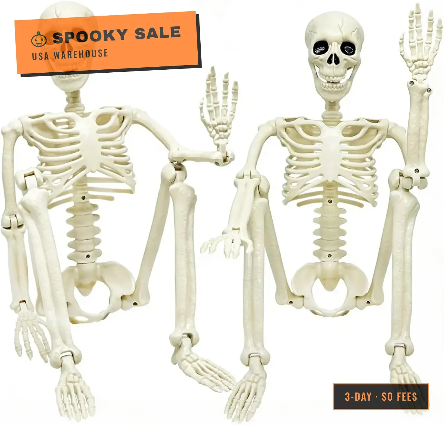 2 Pack 36in Posable Plastic Skeleton Halloween Decor - 3 ft Halloween Decor | Fu