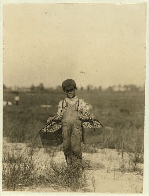 Photo:Browns Mills NJ Peula Amava 1910 Cranberry Farm Child Labor