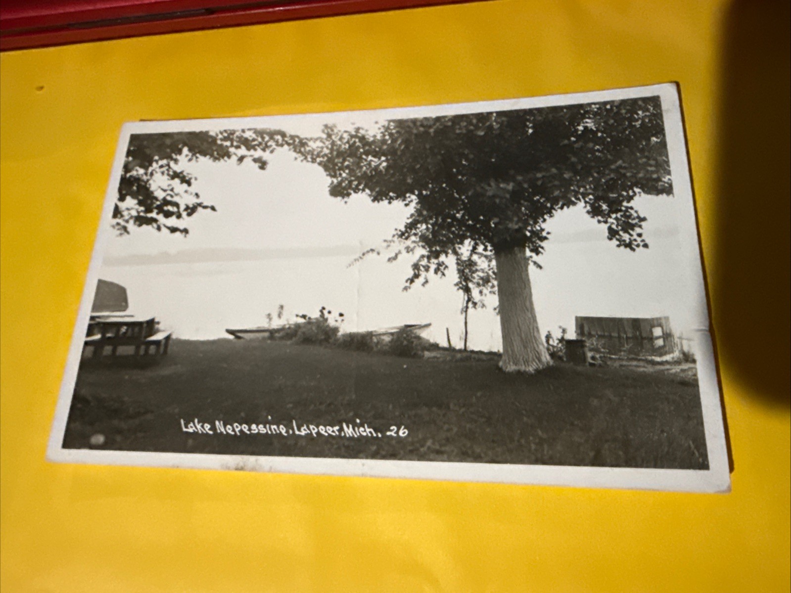 LAPEER Michigan postcard RPPC Lapeer County view of Lake Nepessing