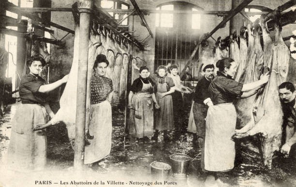 Parisian Abattoir - La Villette 1908 Old Illustration Photo Parisian Abattoir - La Villette 1908 Old Illustration Photo
