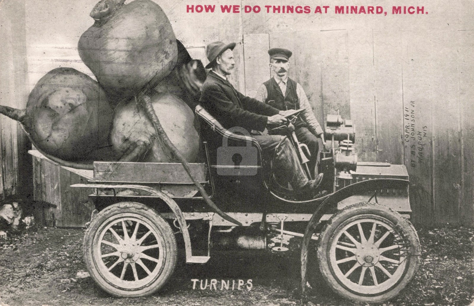 How We Do Things at Minard - Turnips Jackson MI 1912 RPPC Photo Postcard COPY How We Do Things at Minard - Turnips Jackson MI 1912 RPPC Photo Postcard COPY