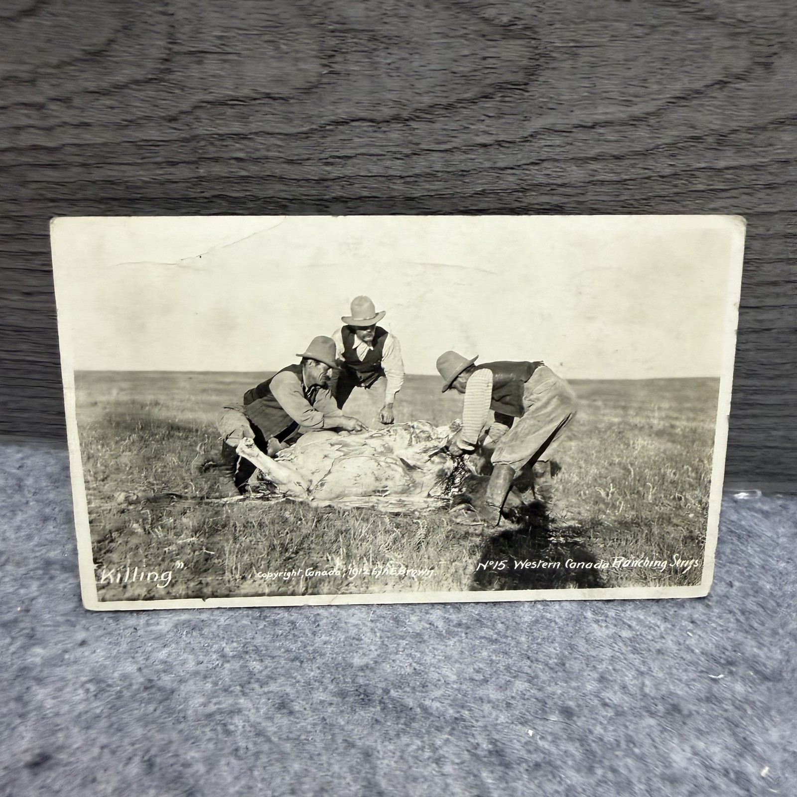 1912 Western Canada Ranching Postcard Cowboys Butchering Cattle H. Brown RPPC 1912 Western Canada Ranching Postcard Cowboys Butchering Cattle H. Brown RPPC