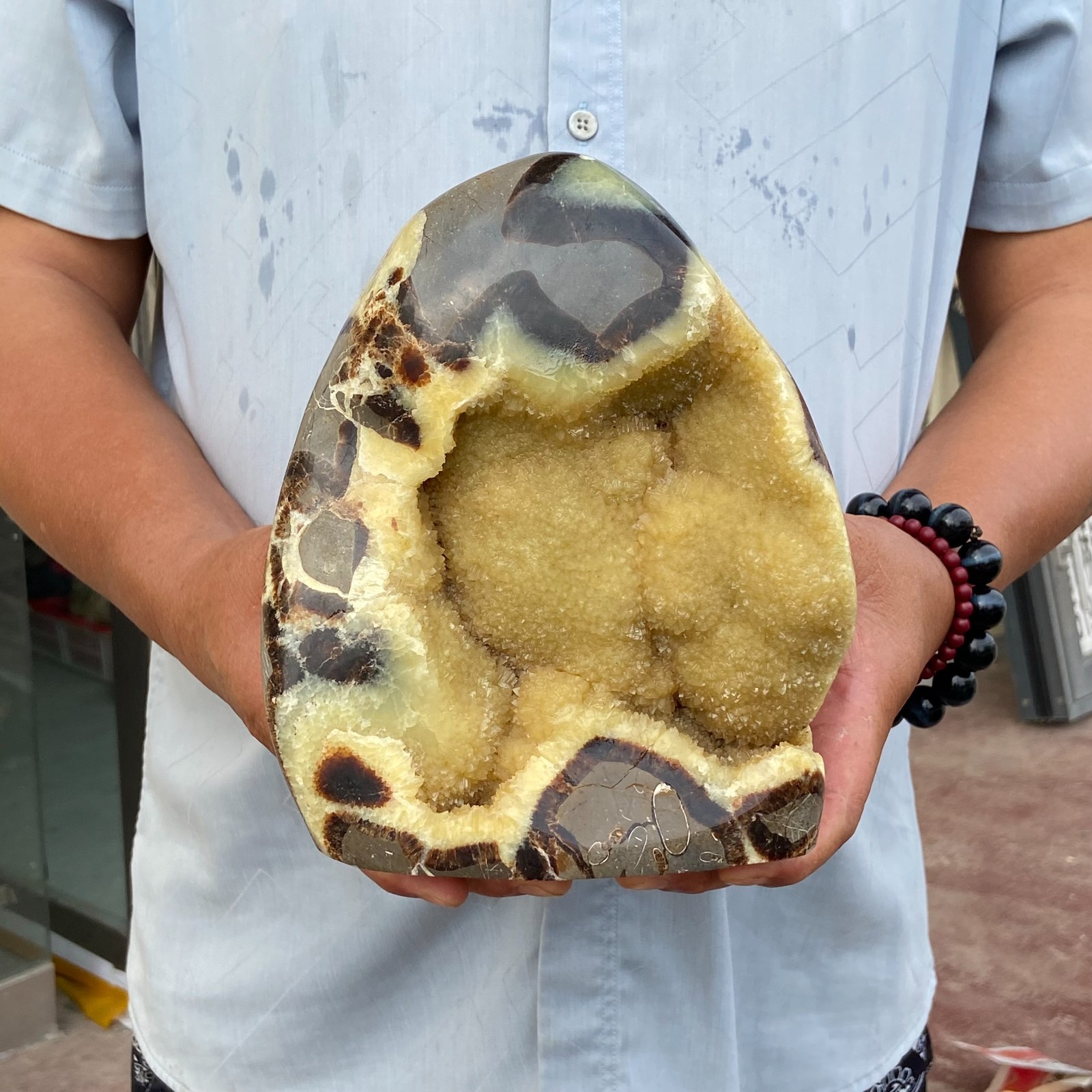 8.29LB Natural Dragon Septarian Stone Quartz Crystal Geode Display Specimen