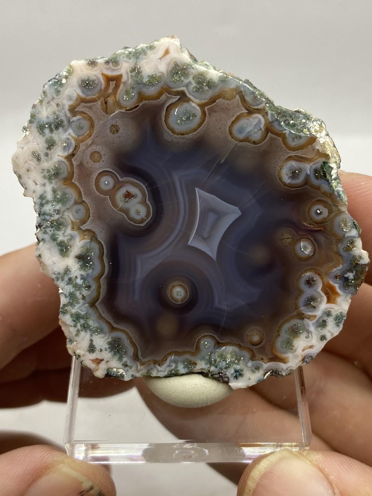 Coyamito Orbicular Agate From Chihuahua, Mexico. Mirror Polished Mexico Coyamito Orbicular Agate From Chihuahua, Mexico. Mirror Polished Mexico