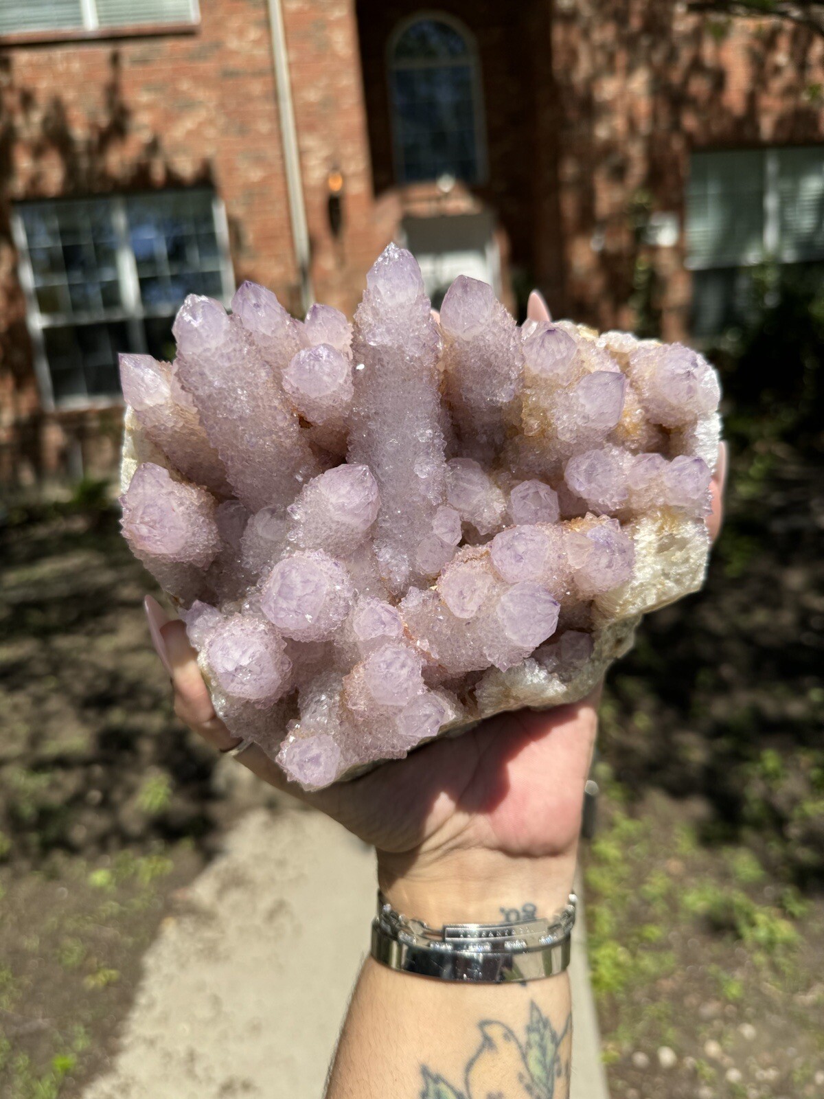 High Grade XXL (5.7lbs) Long Finger Deep Lavender Spirit Cactus Quartz cluster High Grade XXL (5.7lbs) Long Finger Deep Lavender Spirit Cactus Quartz cluster