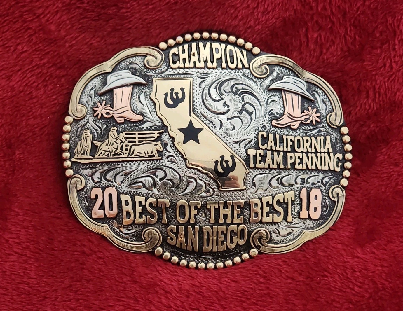 TEAM PENNING☆2018☆RARE CHAMPION PRO RODEO TROPHY BUCKLE☆SAN DIEGO CALIFORNIA☆208