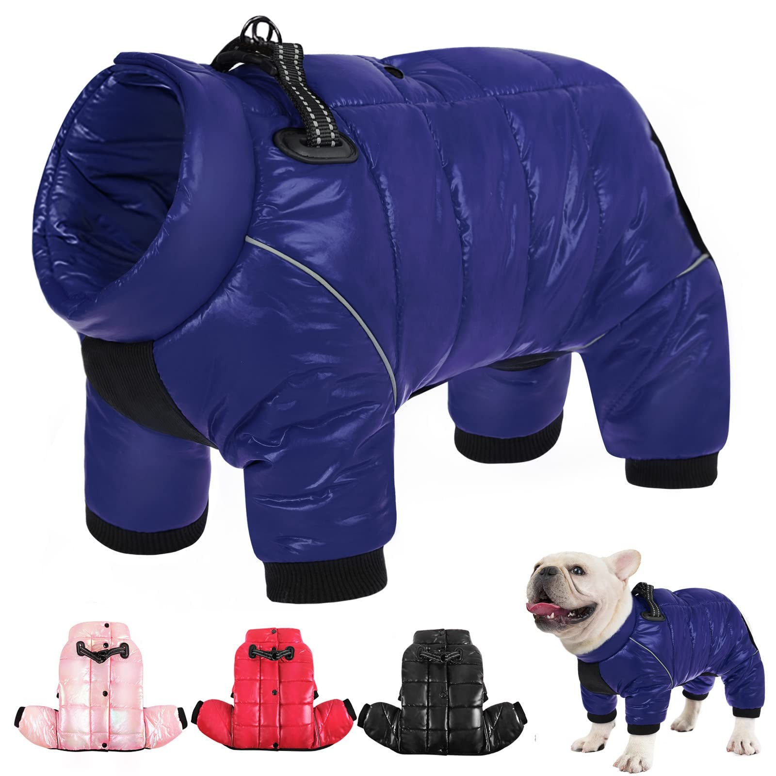 AOFITEE Dog Coat Waterproof Winter Jacket for Small Dogs Blue Medium