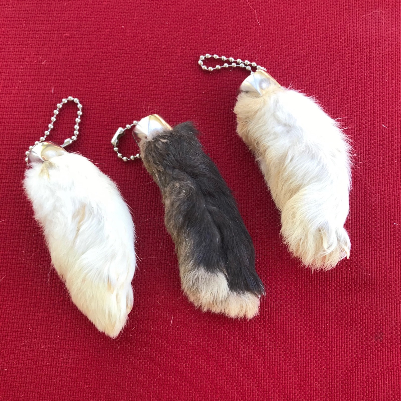 GENUINE Real Lucky Rabbit Foot Keychain Set of 3 GENUINE Real Lucky Rabbit Foot Keychain Set of 3