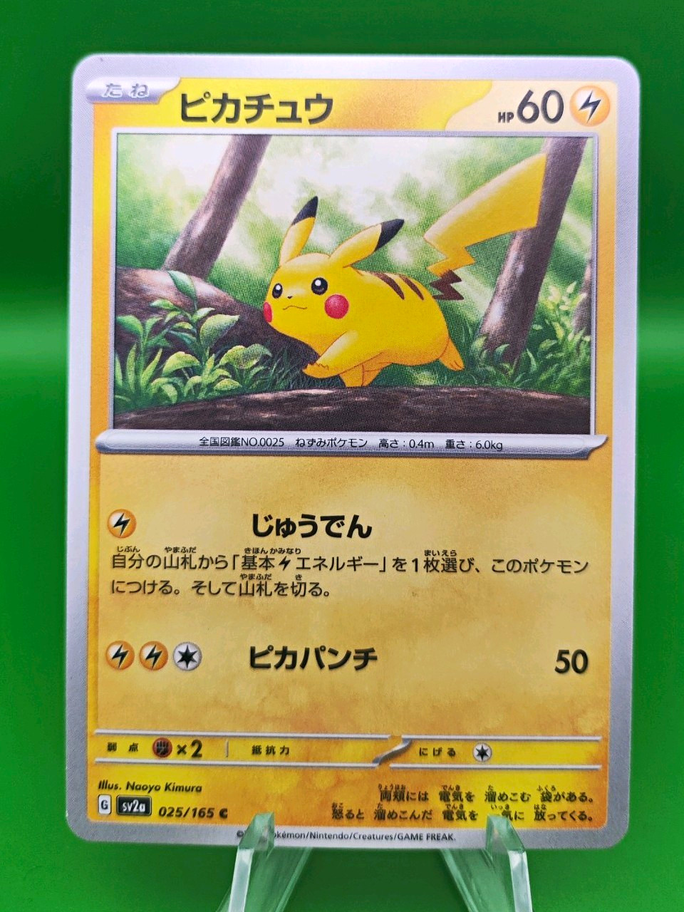 Pokemon TCG Pikachu 025/165 Sv2a 151 Common JP 60KP Electric Pokemon NM Pokemon TCG Pikachu 025/165 Sv2a 151 Common JP 60KP Electric Pokemon NM