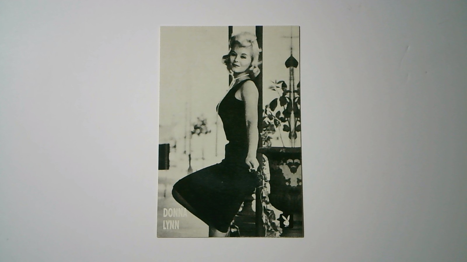 1998 Playboy Centerfold Collector Card November 1959 #17 Donna Lynn