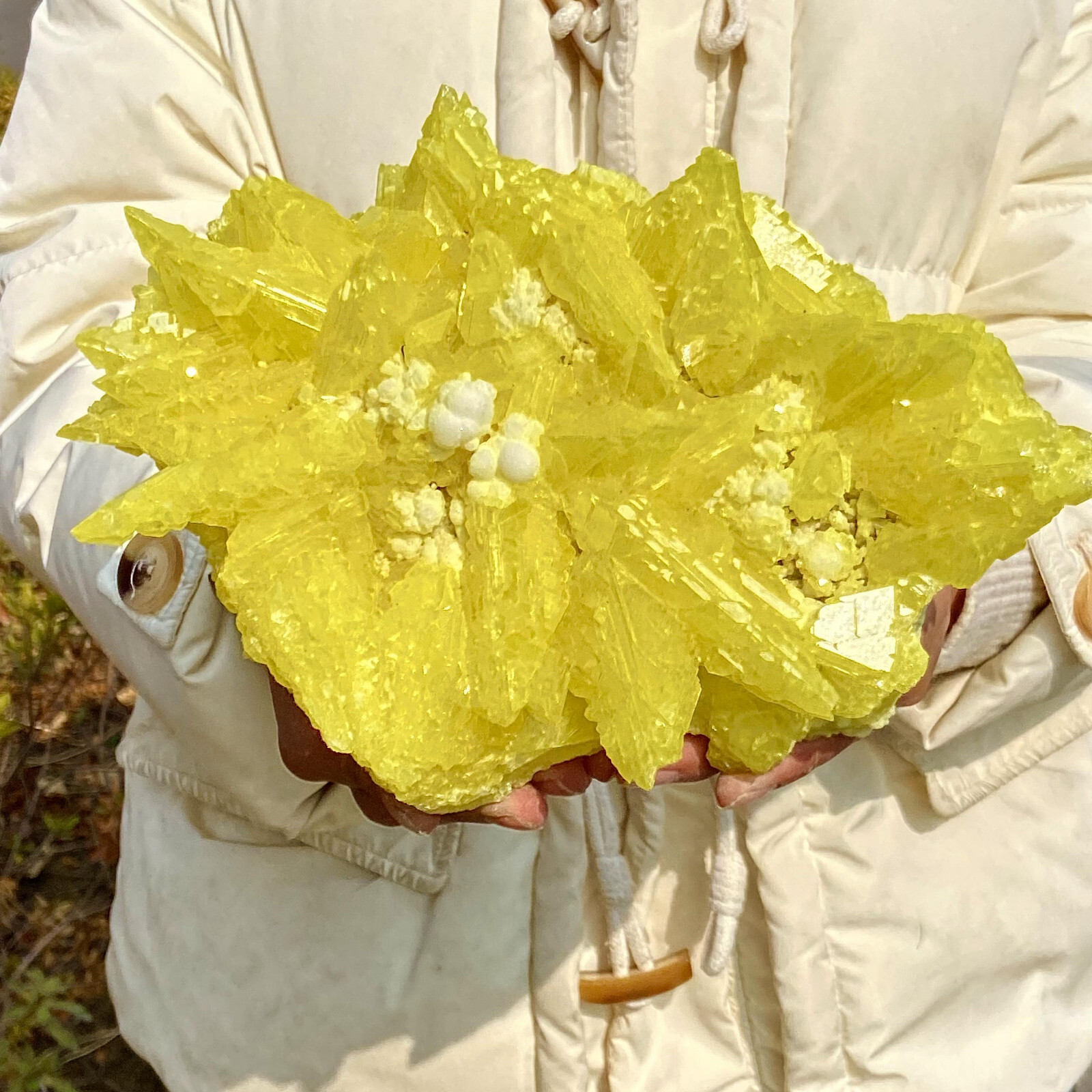 4.38LB Beautiful Minerals LARGE NATIVE SULPHUR OnMATRIX Sicily