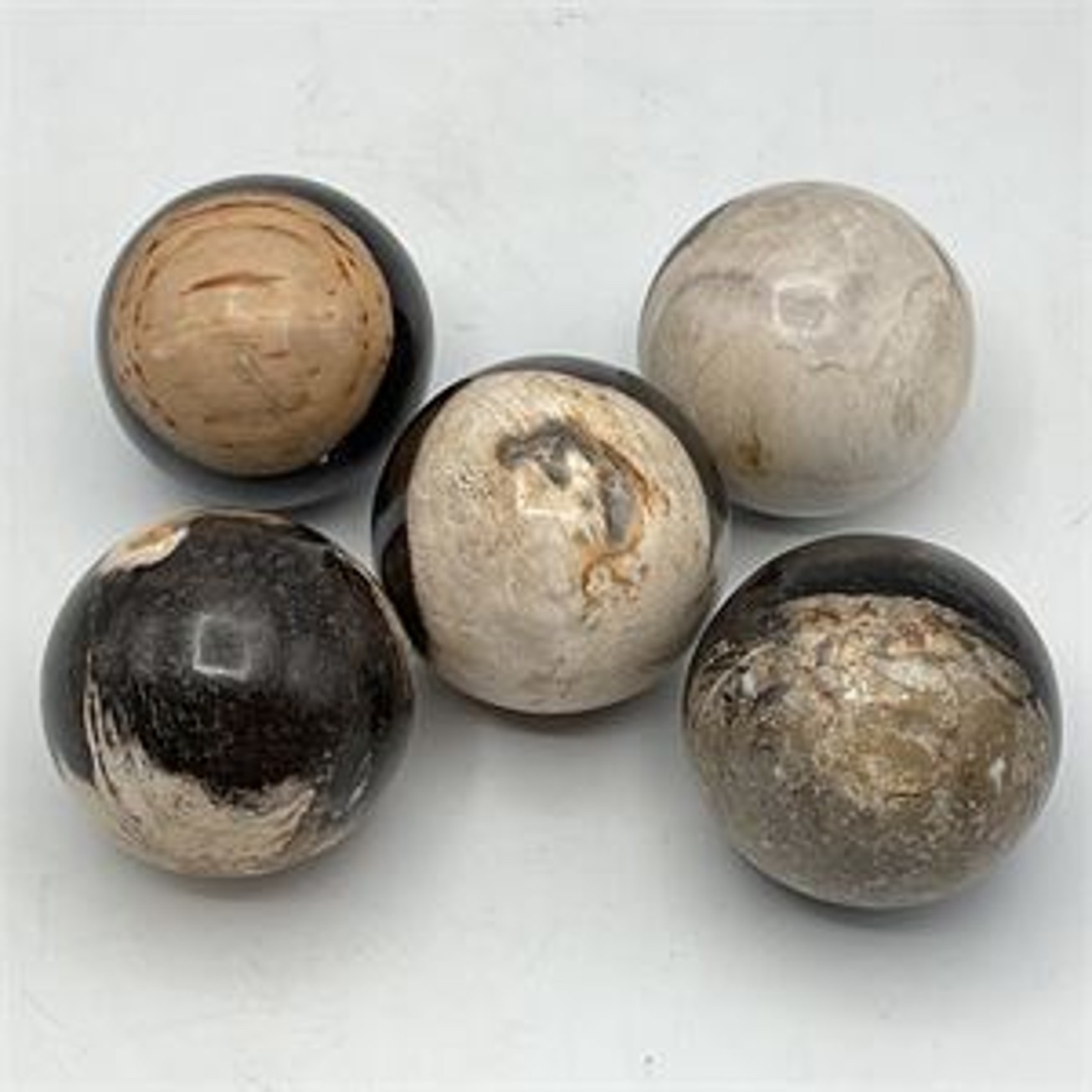 5pc Natural Petrified Wood Sphere Set Polished Fossil Stone Balls Indonesia 5pc Natural Petrified Wood Sphere Set Polished Fossil Stone Balls Indonesia