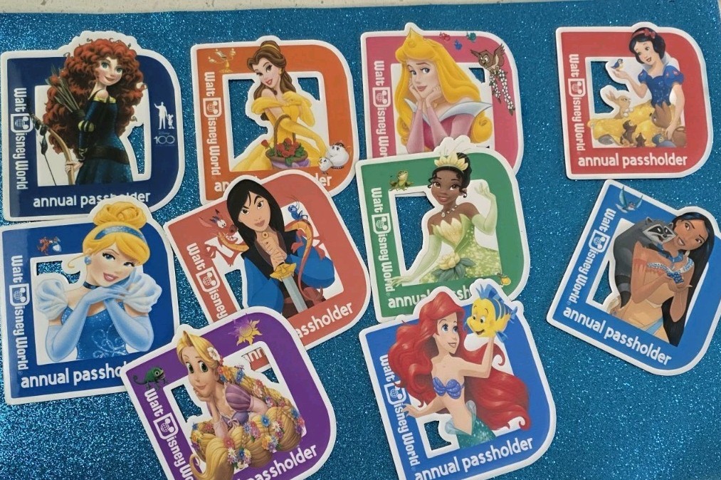 Disney Annual Pasholder Magnets 2025  The Princess , 10 magnets (homemade)