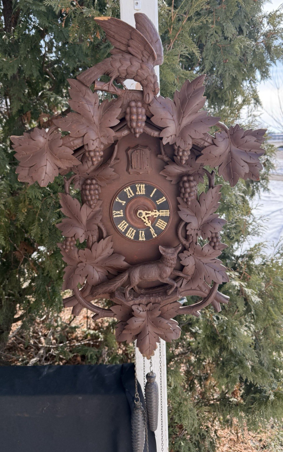 Antique C 1890s Ed Herr Black Forest German Cuckoo Clock - RARITY - SEE VIDEO