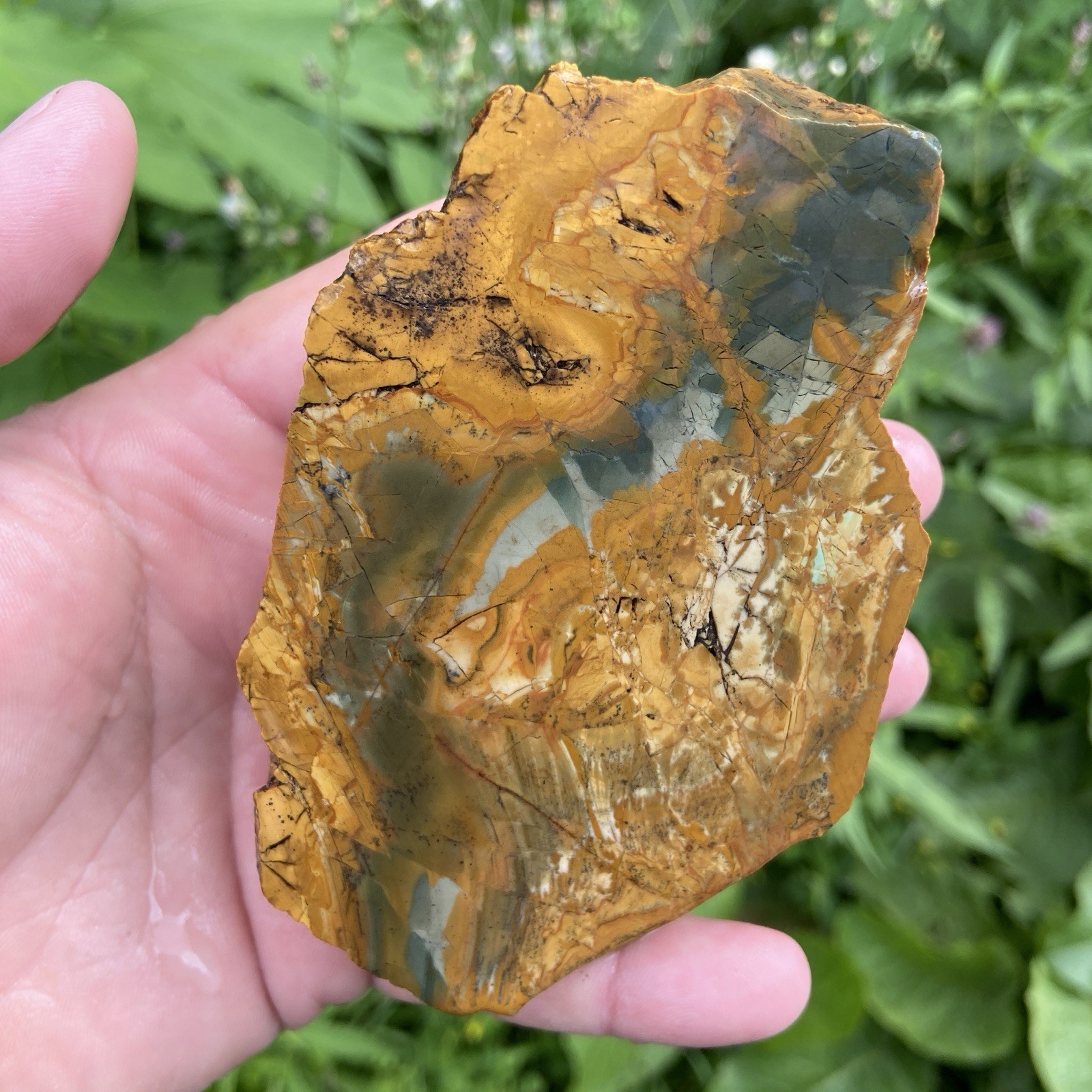 1 Pound 1.73 Oz Large Owyhee Scenic Jasper Rough