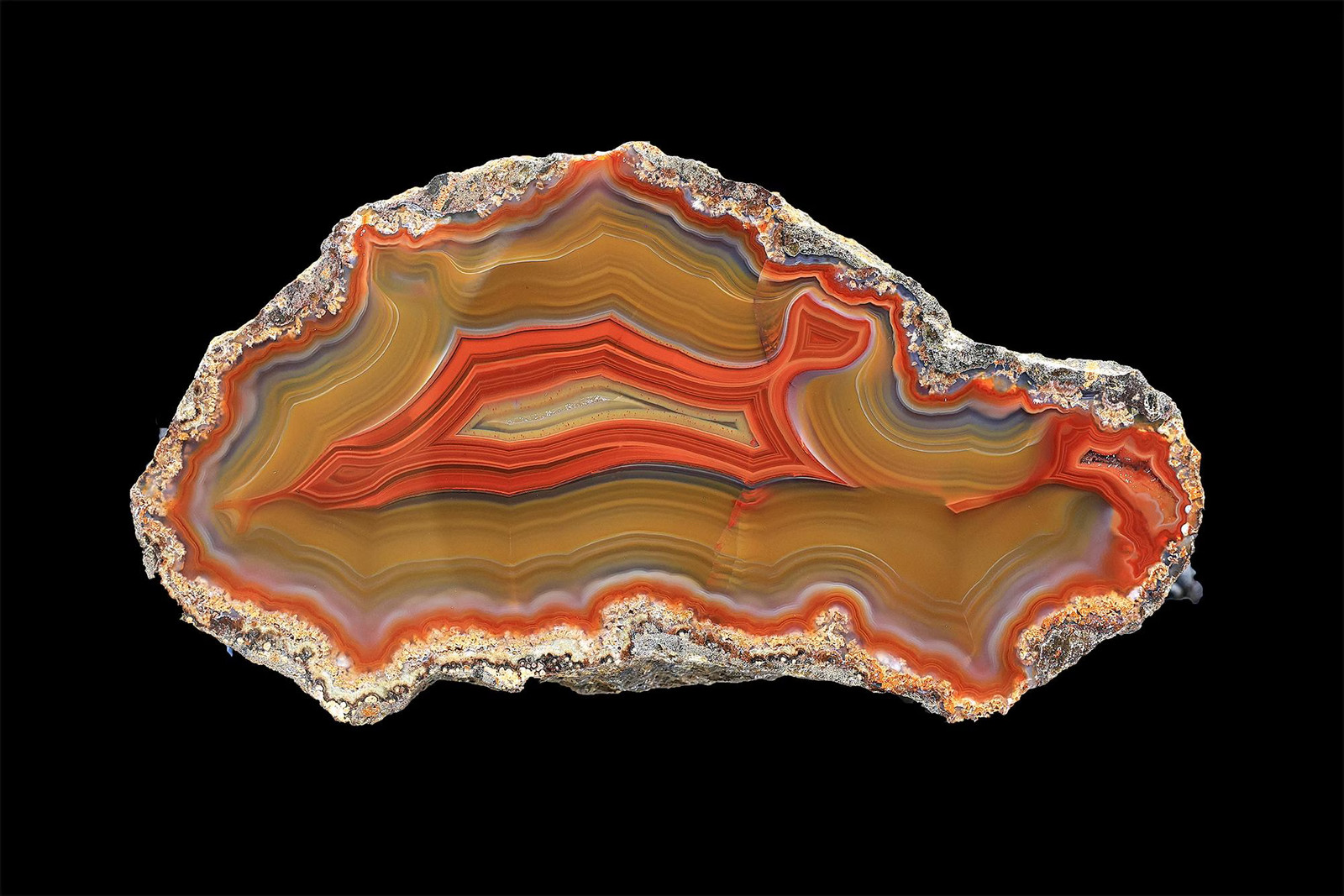 Exceptional Rare Quality Condor Agate Tight Banding and Fantastic Contrast