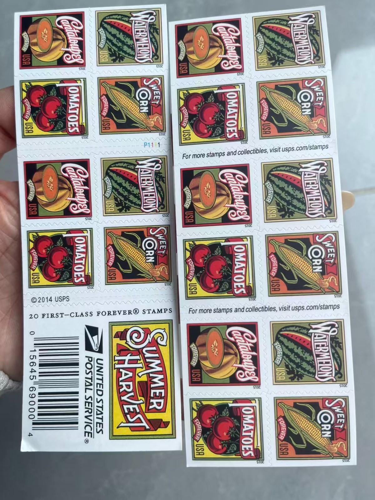 Scott # 5004 - 5007 US Summer Harvest Block 100 stamps M/NH O/G 