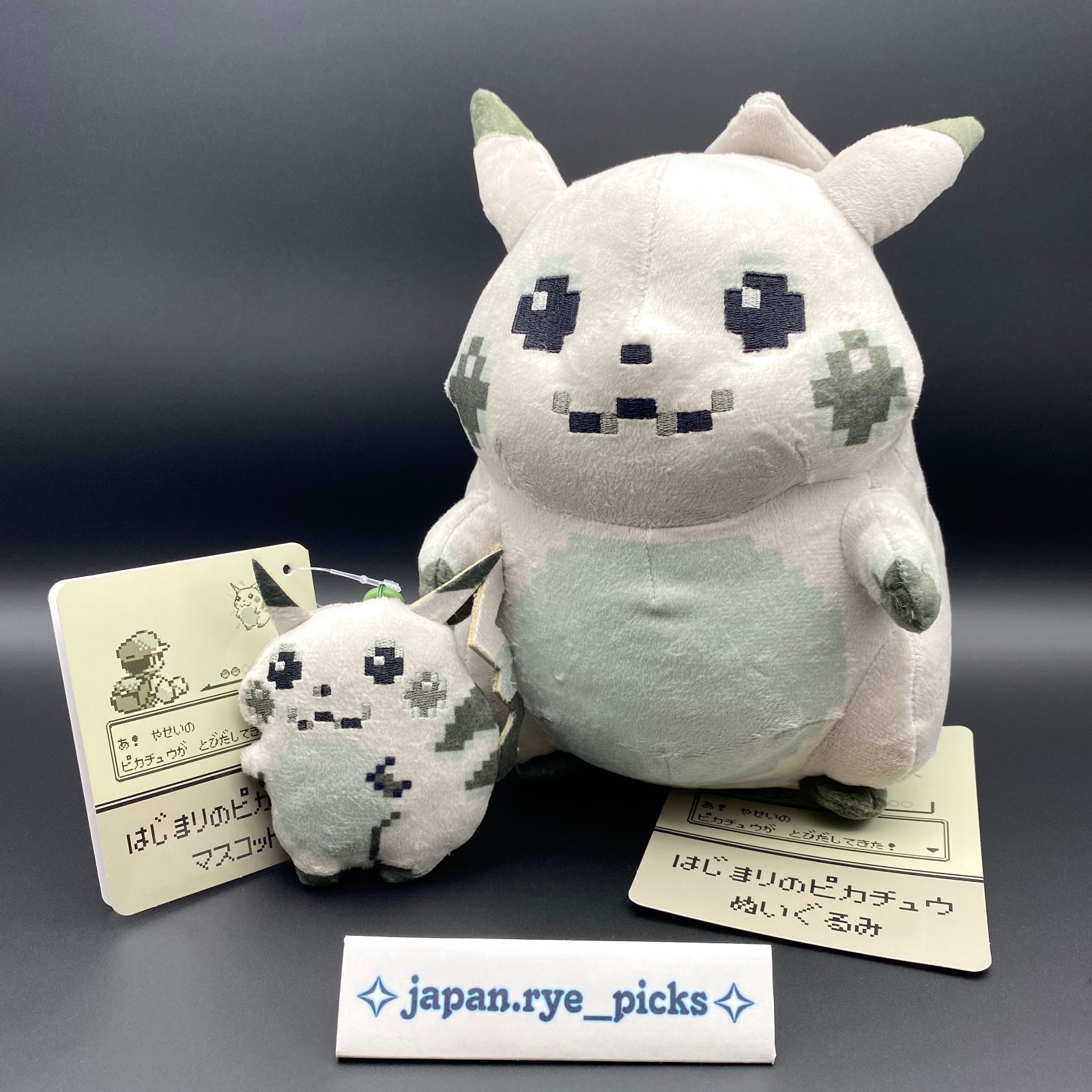 Pokemon 30th Anniversary The beginning Pikachu Plush & Mascot Set of 2 Limited