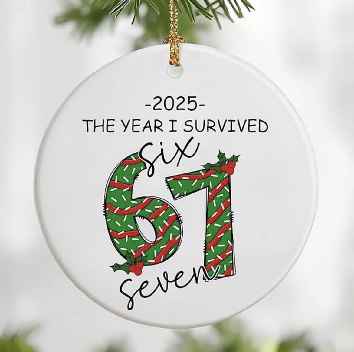 I Survived 6-7 Ornament 2025 Six Seven Viral TikTok Meme Trend Slang Funny Gift
