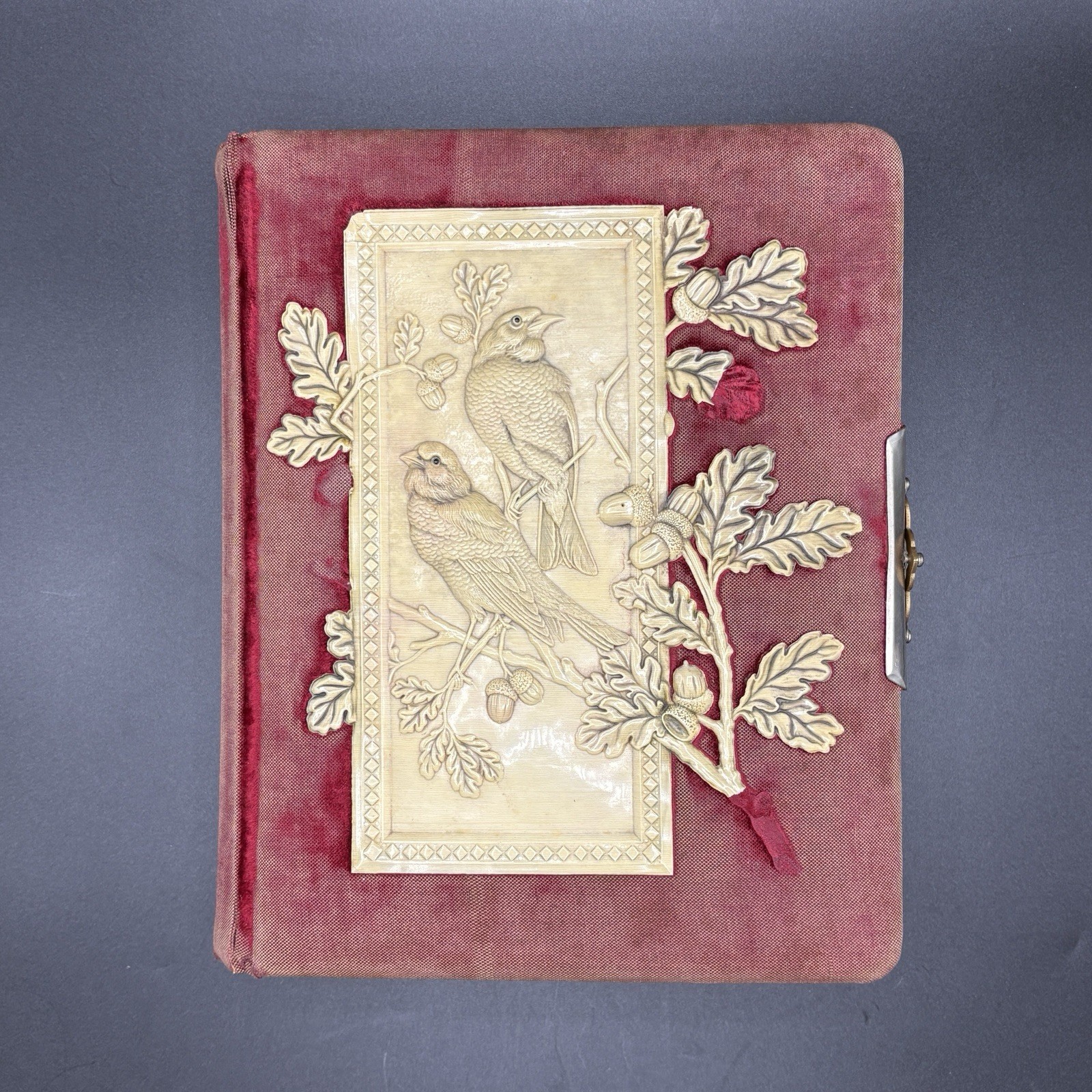 Antique 1890s Wisconsin Victorian Photo Album  20 Photos Tomah Baumgarten (CT)