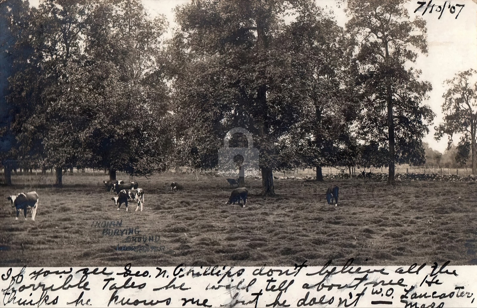 Lancaster MA Massachusetts Indian Burial Ground 1907 RPPC Postcard COPY