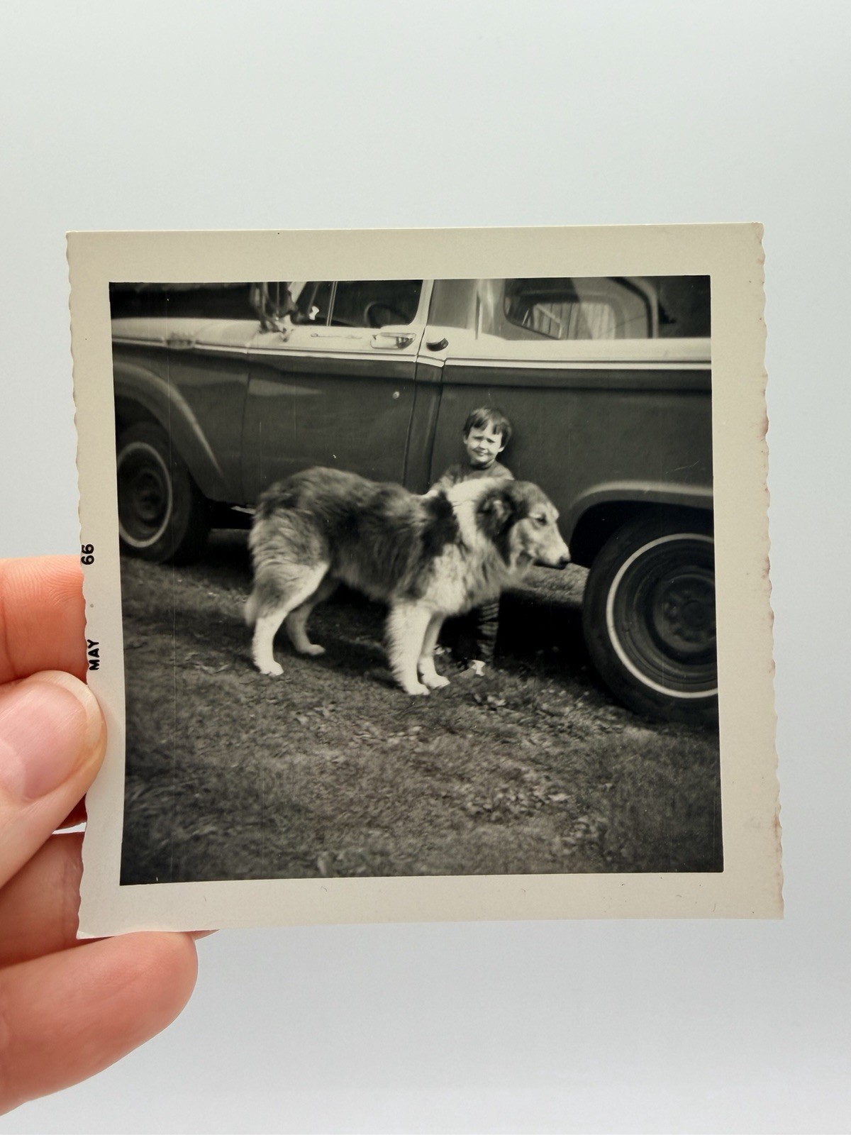 Vintage 1966 Boy & His Dog Snapshot Collie Lassie Pet Adorable Found Photo