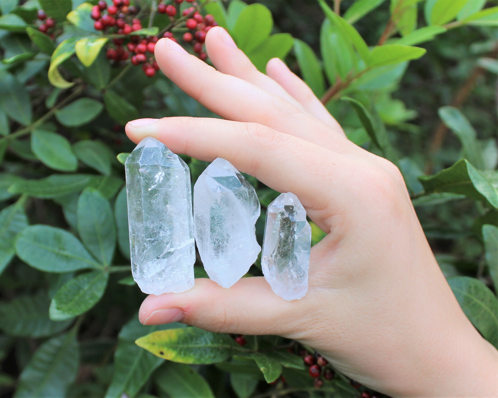3 Pack Clear Quartz Crystal Points, 1 - 1.5\ 3 Pack Clear Quartz Crystal Points, 1 - 1.5\