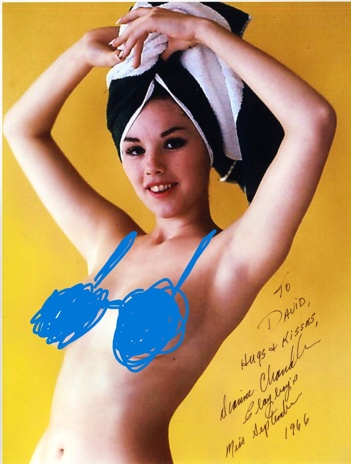 DIANNE CHANDLER Signed Model & Actress 1966 Miss September 8.5x11 photo DIANNE CHANDLER Signed Model & Actress 1966 Miss September 8.5x11 photo
