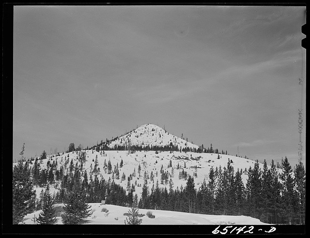 Photo:Granite County Montana 1942 Snowy Mountain Landscape Pine Forest