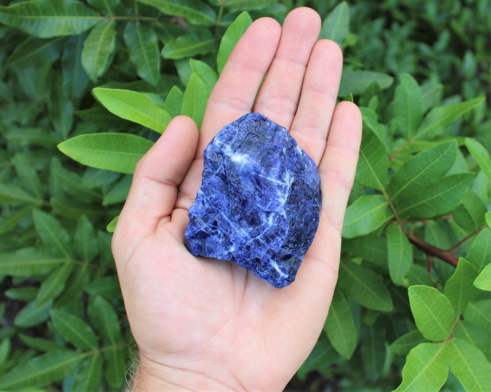 LARGE Rough Sodalite Chunks, 2 - 3 LARGE Rough Sodalite Chunks, 2 - 3