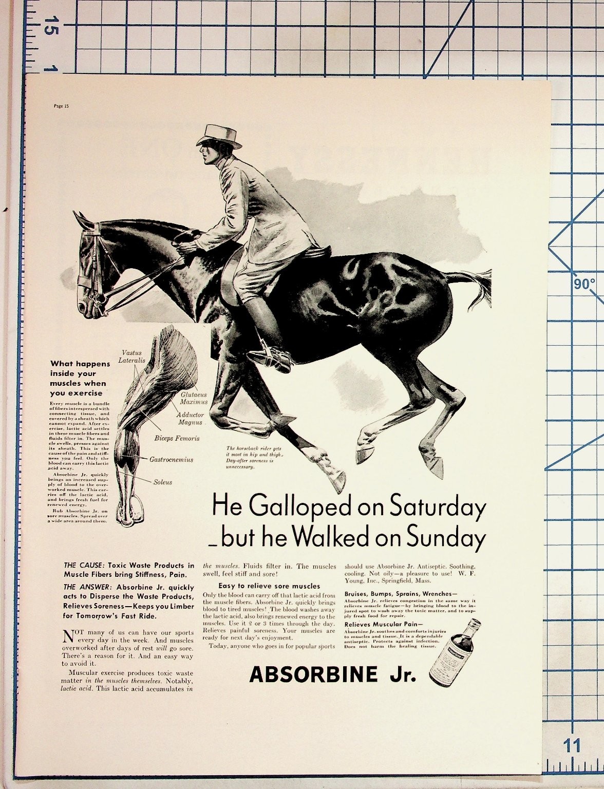 Absorbine Jr. Horseback Riding Ad Vintage Ephemera W. F. Young Springfield Mass. Absorbine Jr. Horseback Riding Ad Vintage Ephemera W. F. Young Springfield Mass.